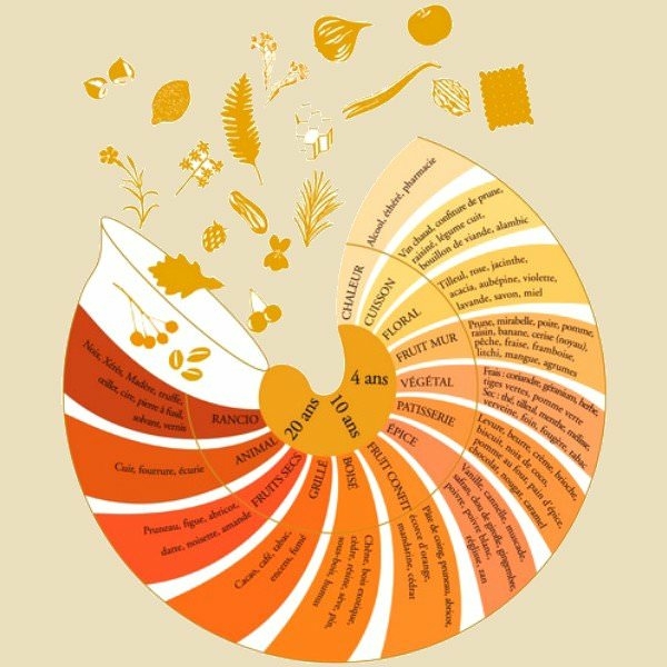 les aromes de l'armagnac